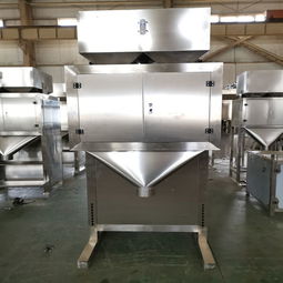 冷凍小食品自動定量包裝機廠家直銷