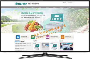 閔行網站建設與維護 一站式服務助力企業(yè)數字化轉型